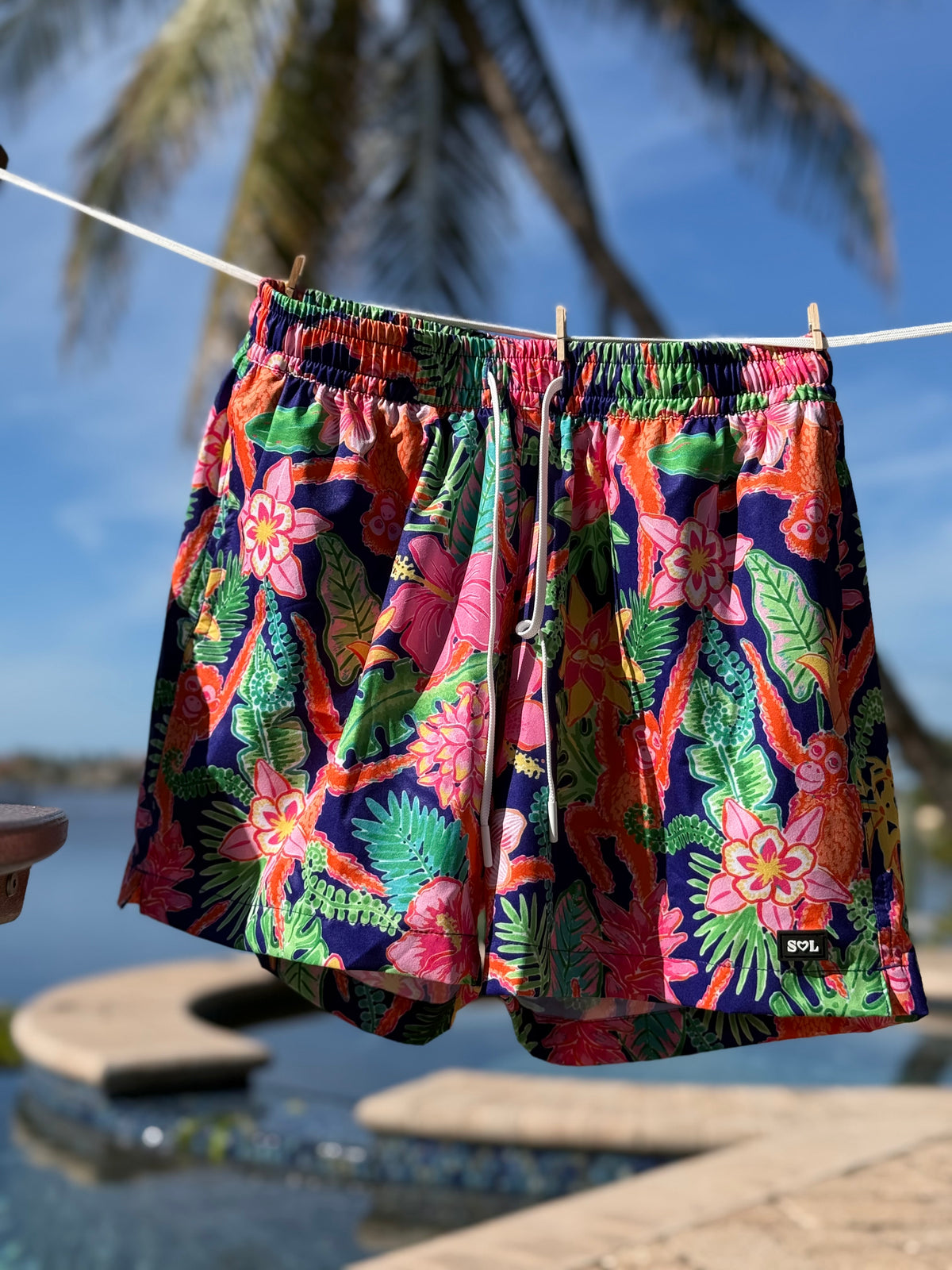 Nosara (Mens Shorts)